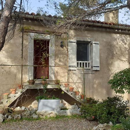 Apartmán La Pinede Azillanet Exteriér fotografie