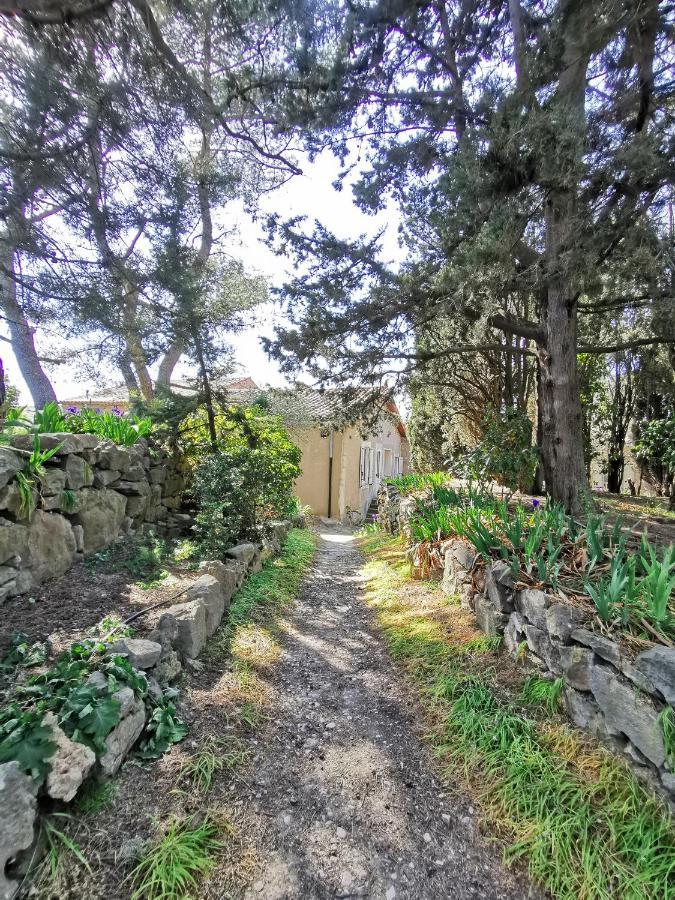 Apartmán La Pinede Azillanet Exteriér fotografie